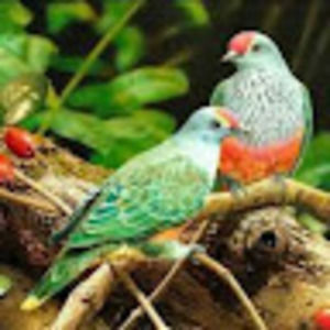 Meet your Posher, Emerald